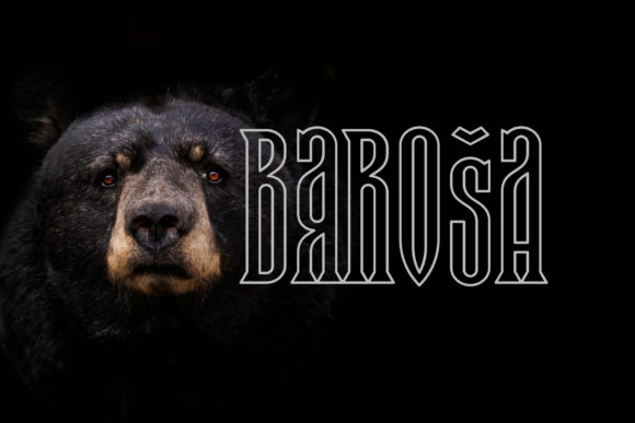 Baroša Font: A Campaign Designer's Typographic Secret Weapon